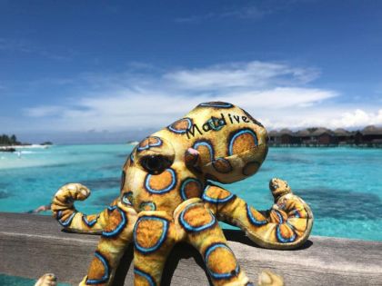 Почивки в Малдиви