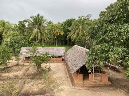 Екскурзии в Шри Ланка