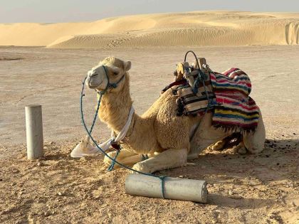 Екскурзии в Тунис