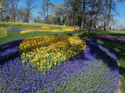 Истанбул и лалетата 2026 от Варна