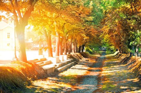 Почивка в СЪРБИЯ - ВЪРНЯЧКА БАНЯ,  7 нощувки в хотел Fontana**** - със собствен транспорт!