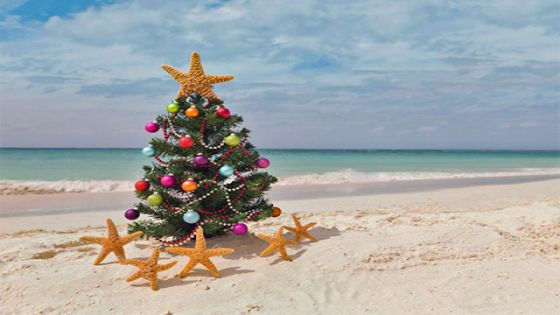 Коледа под тунизийското слънце – All Inclusive почивка в Тунис с полет от Варна